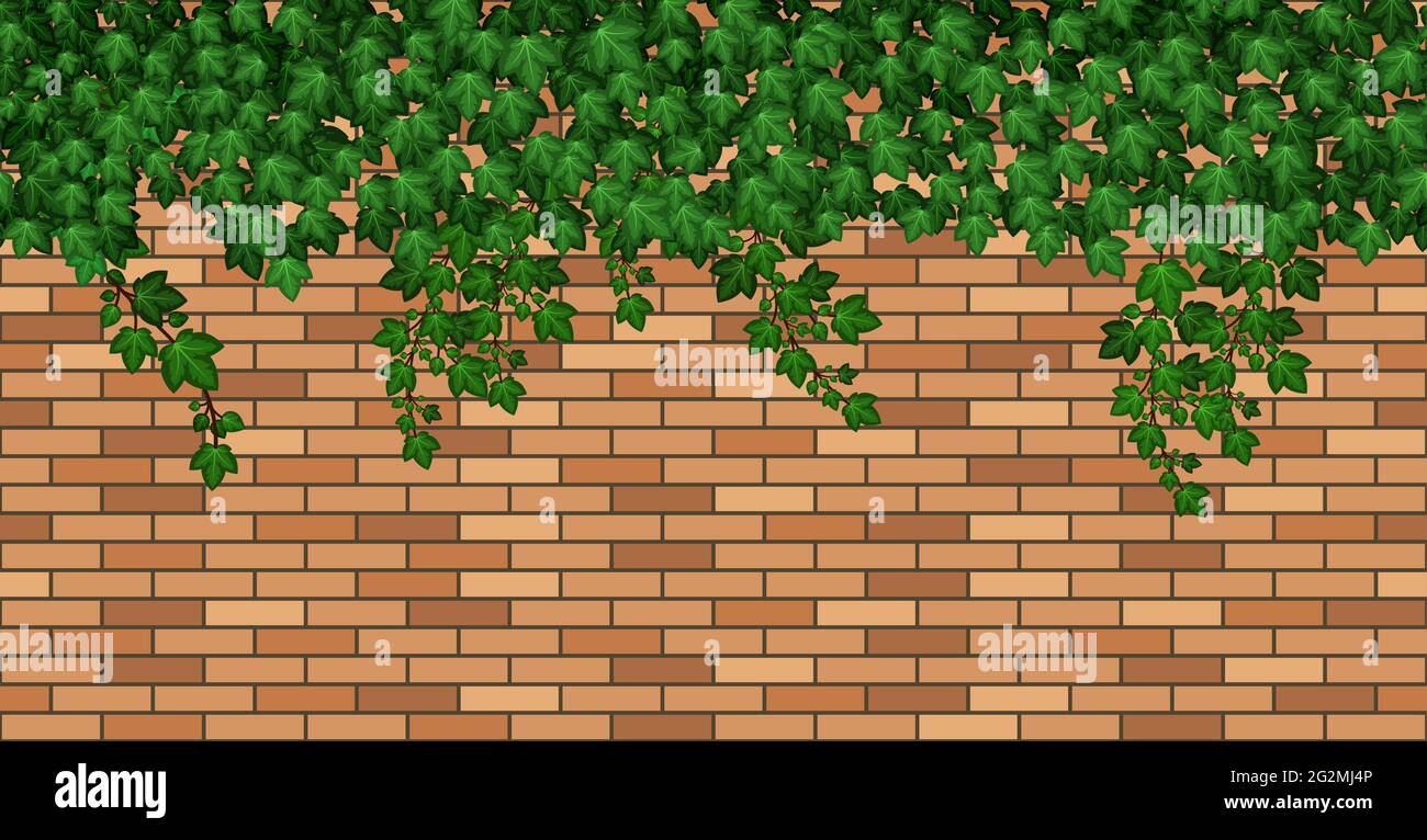 Ivy sur mur de brique. Des feuilles de lierre vertes grimpent sur le mur de briques brunes du bâtiment, de la maison ou de la clôture. Feuillage d'été surcultivé, liana de jardin et branches. Se Illustration de Vecteur