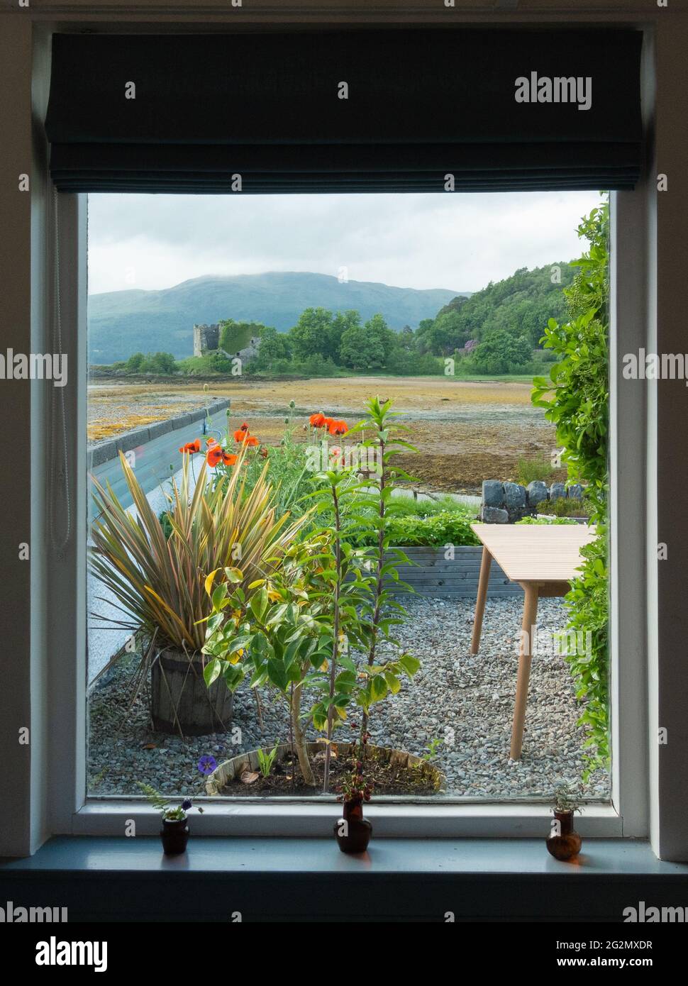 Vue sur le Loch Fyne et le vieux château de Lachlan depuis le restaurant Inver à marée basse, Strachur, Strathlachlan, Écosse, Royaume-Uni Banque D'Images