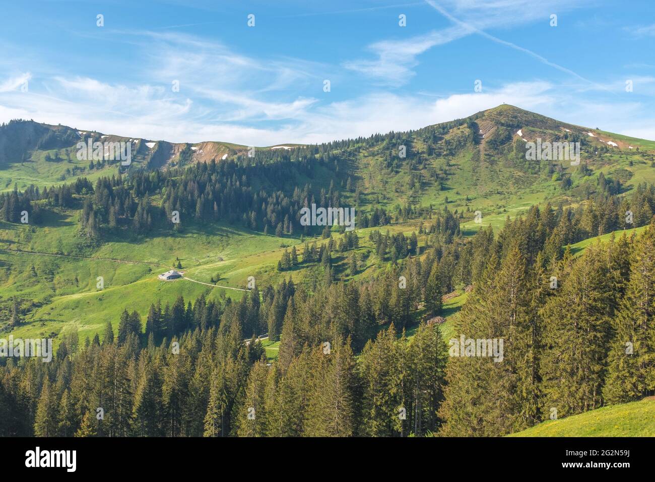 Vue sur le paysage des Alpes suisses près de 'la Berra', avec forêt et ciel bleu en arrière-plan, tourné à la Berra, Gruyère, Suisse Banque D'Images