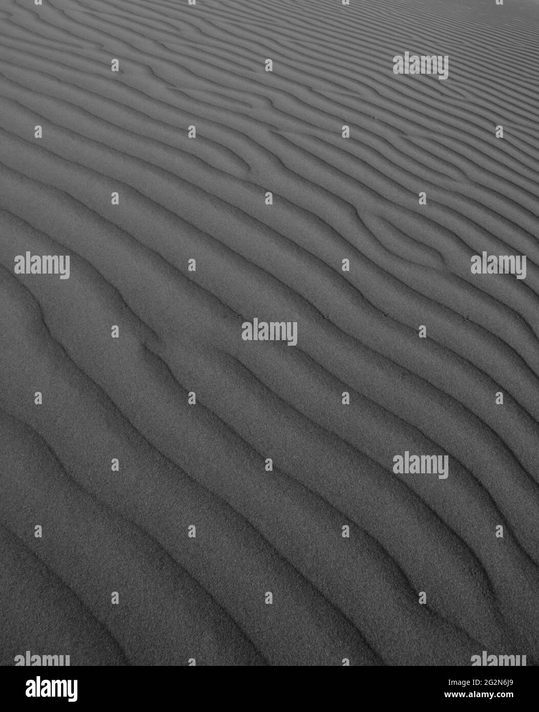 Surface érodée par le vent sur une dune, province de la Pampa, Patagonie, Argentine. Banque D'Images
