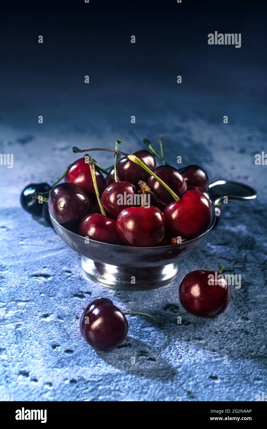 Les baies biologiques de cerise récoltent sur fond de béton bleu. Cerises fraîches pour confiture, marmelade, jus, smoothie, compote, desserts et gâteaux. Banque D'Images
