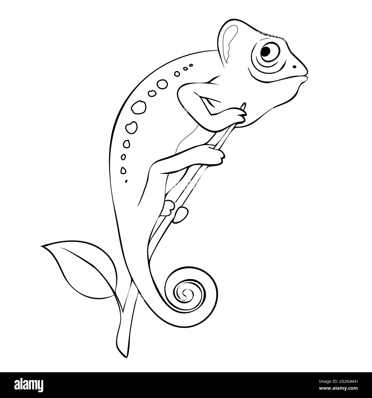 Mignon caméléon sur l'illustration de vecteur de branche. Page de livre de coloriage Illustration de Vecteur