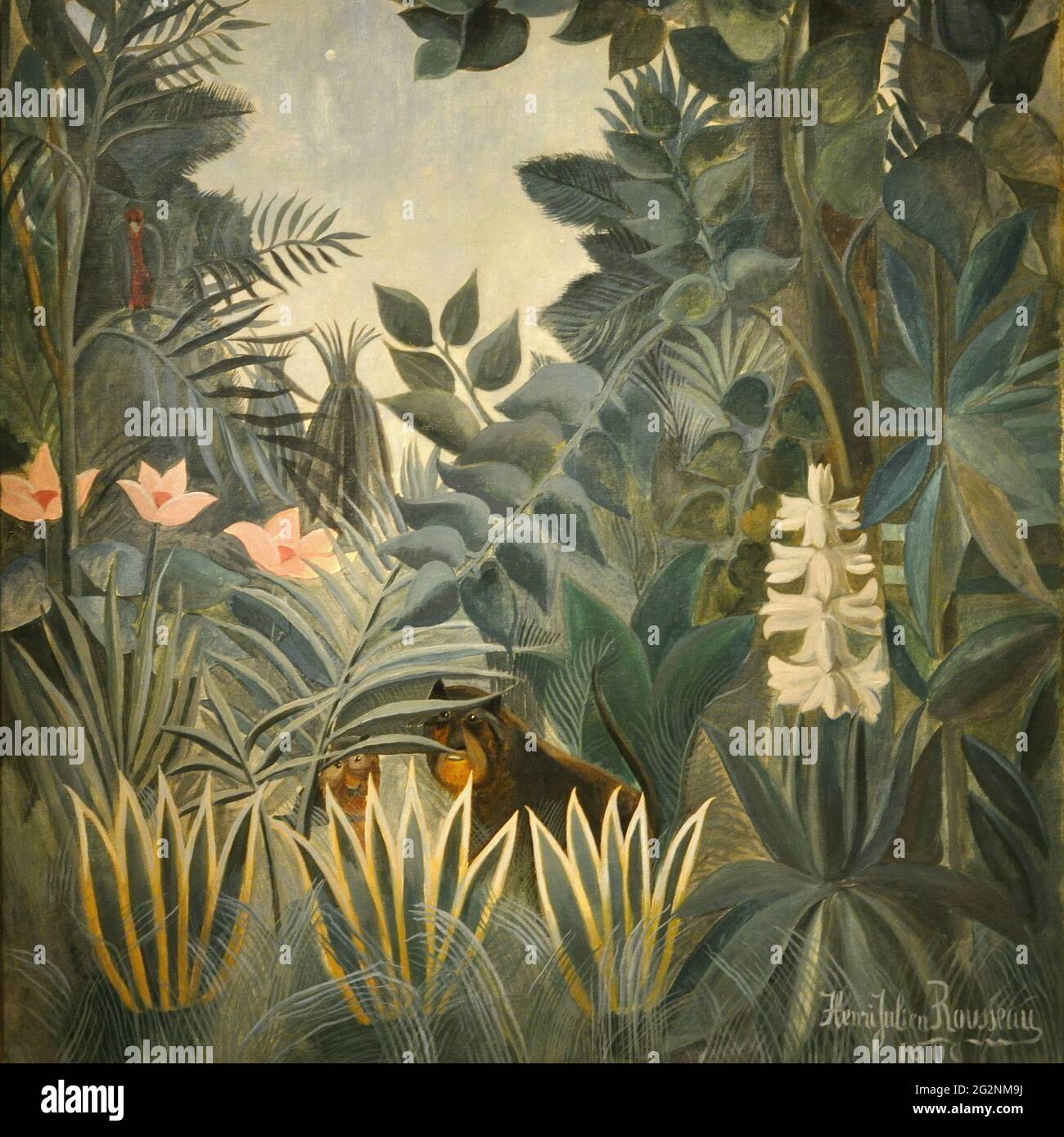 Henri Rousseau alias le Douanier Rousseau - la jungle équatoriale 1909 Banque D'Images