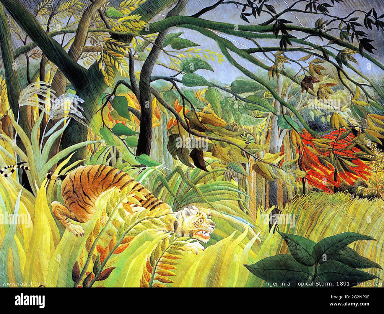 Henri Rousseau a.k.a le Douanier Rousseau - tempête tropicale tigre surprise 1891 Banque D'Images