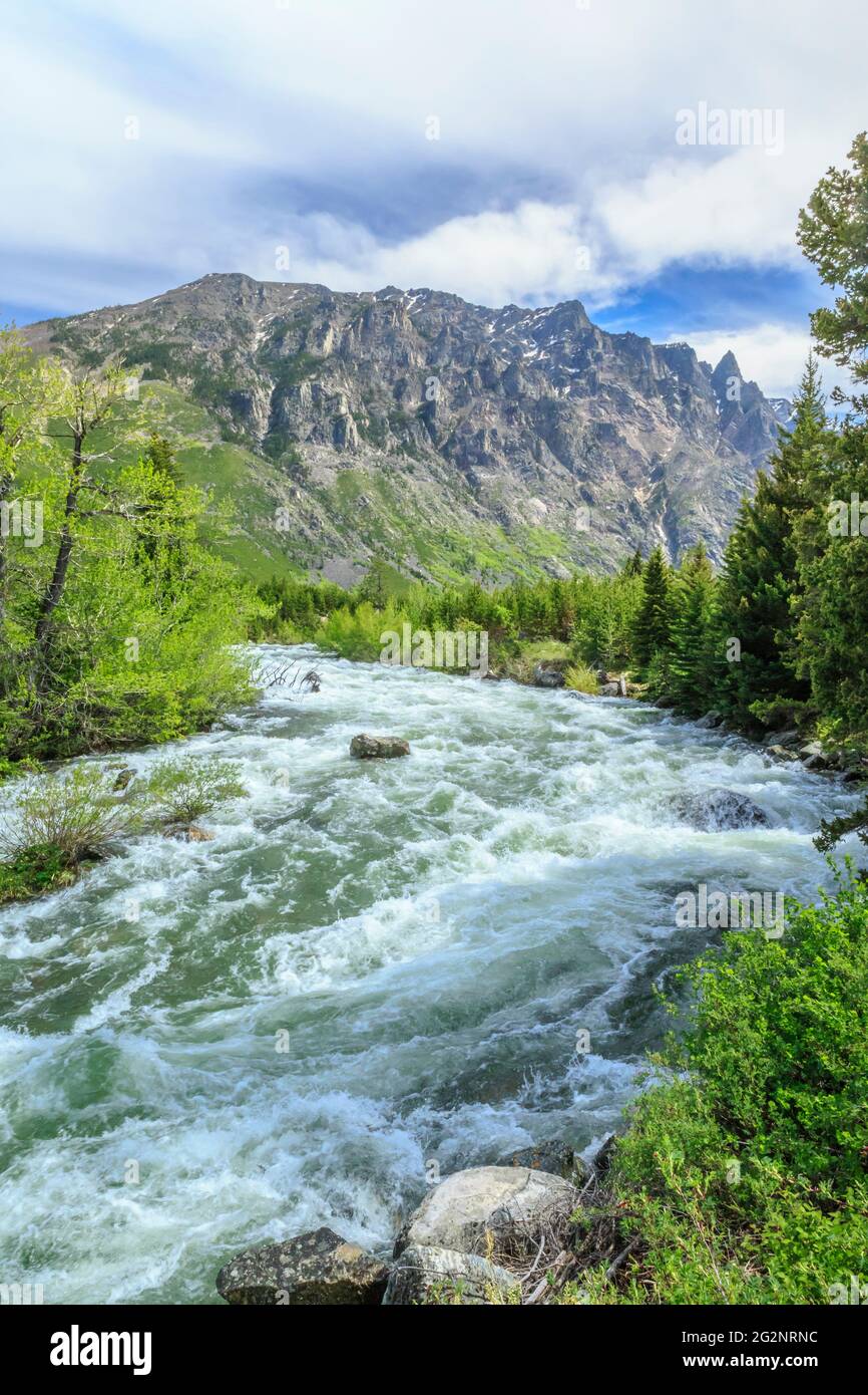 east rosebud creek s'écoulant des montagnes de beartooth dans la forêt nationale de custer près de roscoe, montana Banque D'Images