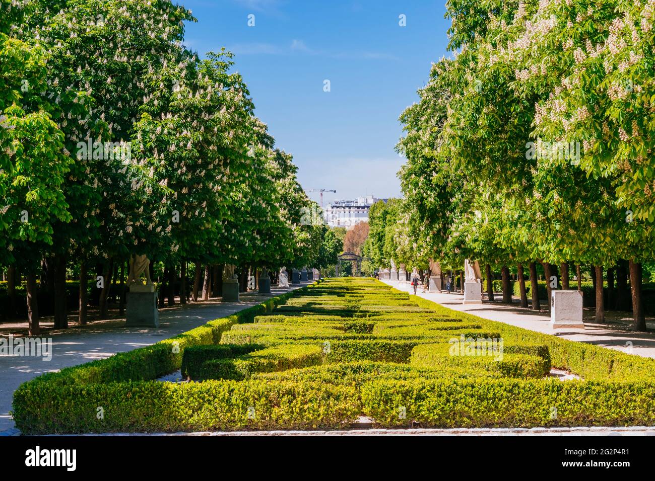 Paseo de Argentina, également appelé avenue des statues - Paseo de las Estatuas, nommé pour les sculptures des rois qui le bordent. Parque del Buen Retiro Banque D'Images