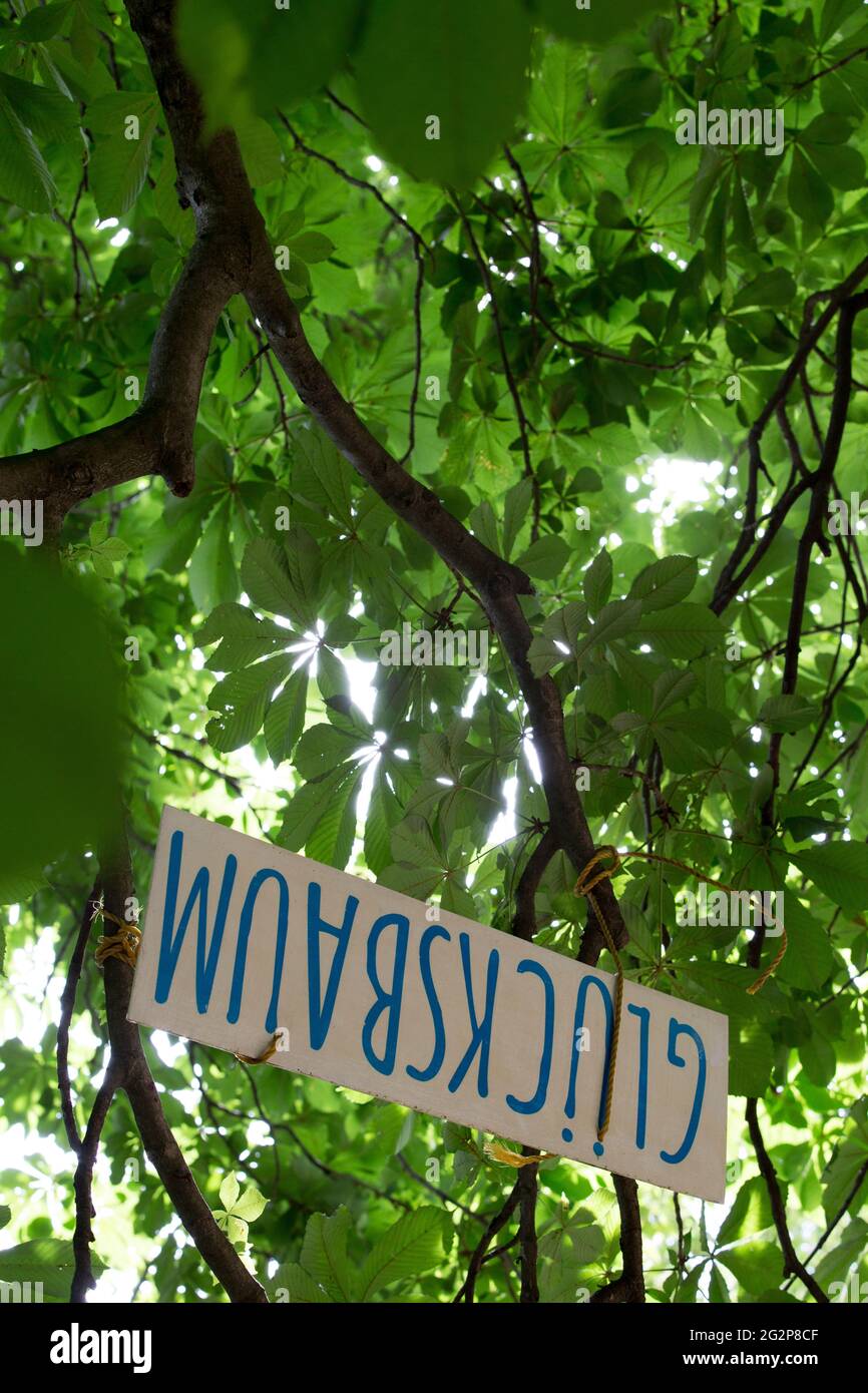 Lucky Tree, un panneau avec des lettres tournées Glücksbaum, vous attachez vos souhaits sur des notes aux branches, clara-zetkin-Park à Leipzig, Allemagne Banque D'Images