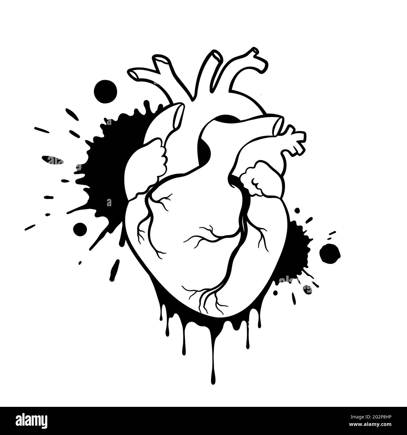 Hand drawn illustration human heart Banque d images noir et blanc