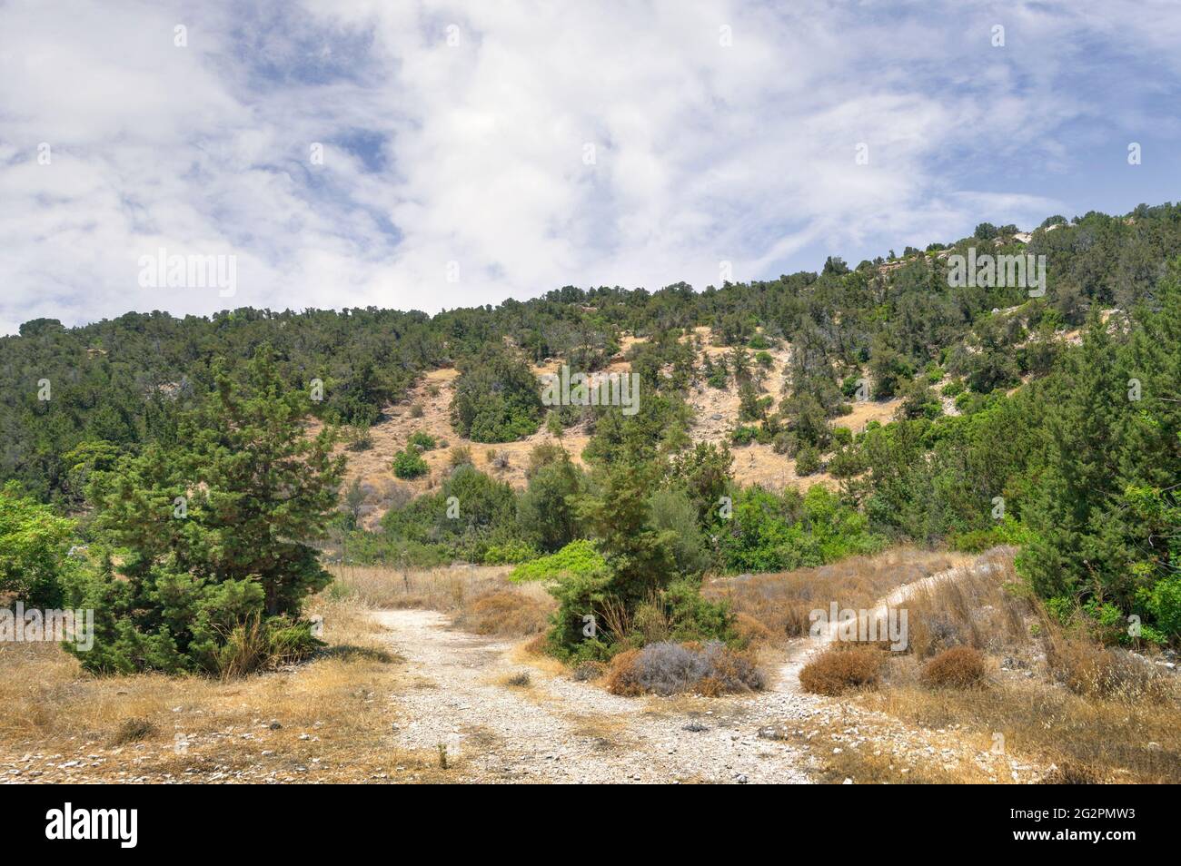 Le sentier de randonnée est entouré d'une végétation dense et de falaises abruptes dans la gorge d'Avakas. Péninsule d'Akamas, Chypre. Banque D'Images