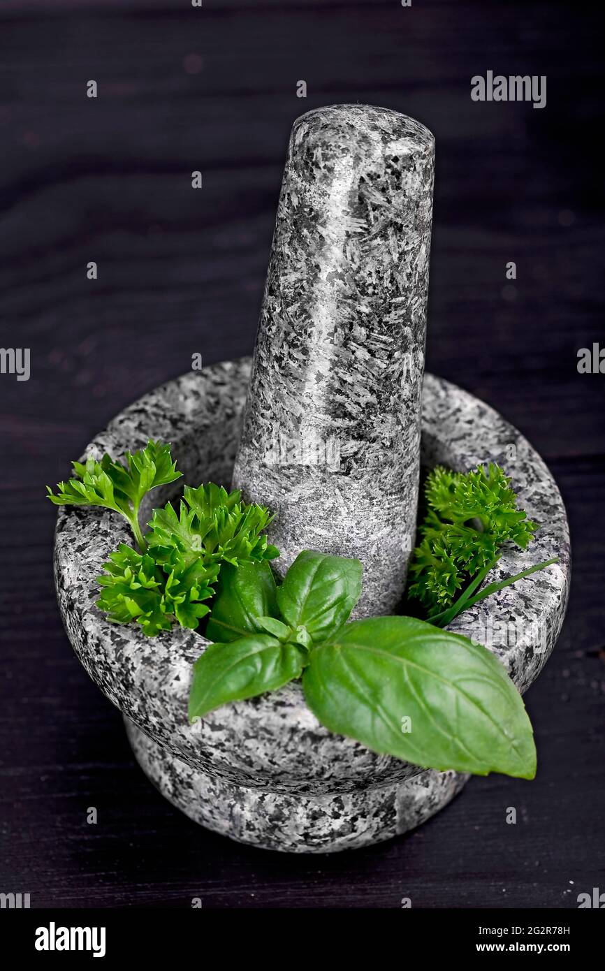 herbes fraîches dans un mortier en pierre sur une table en bois noir Banque D'Images