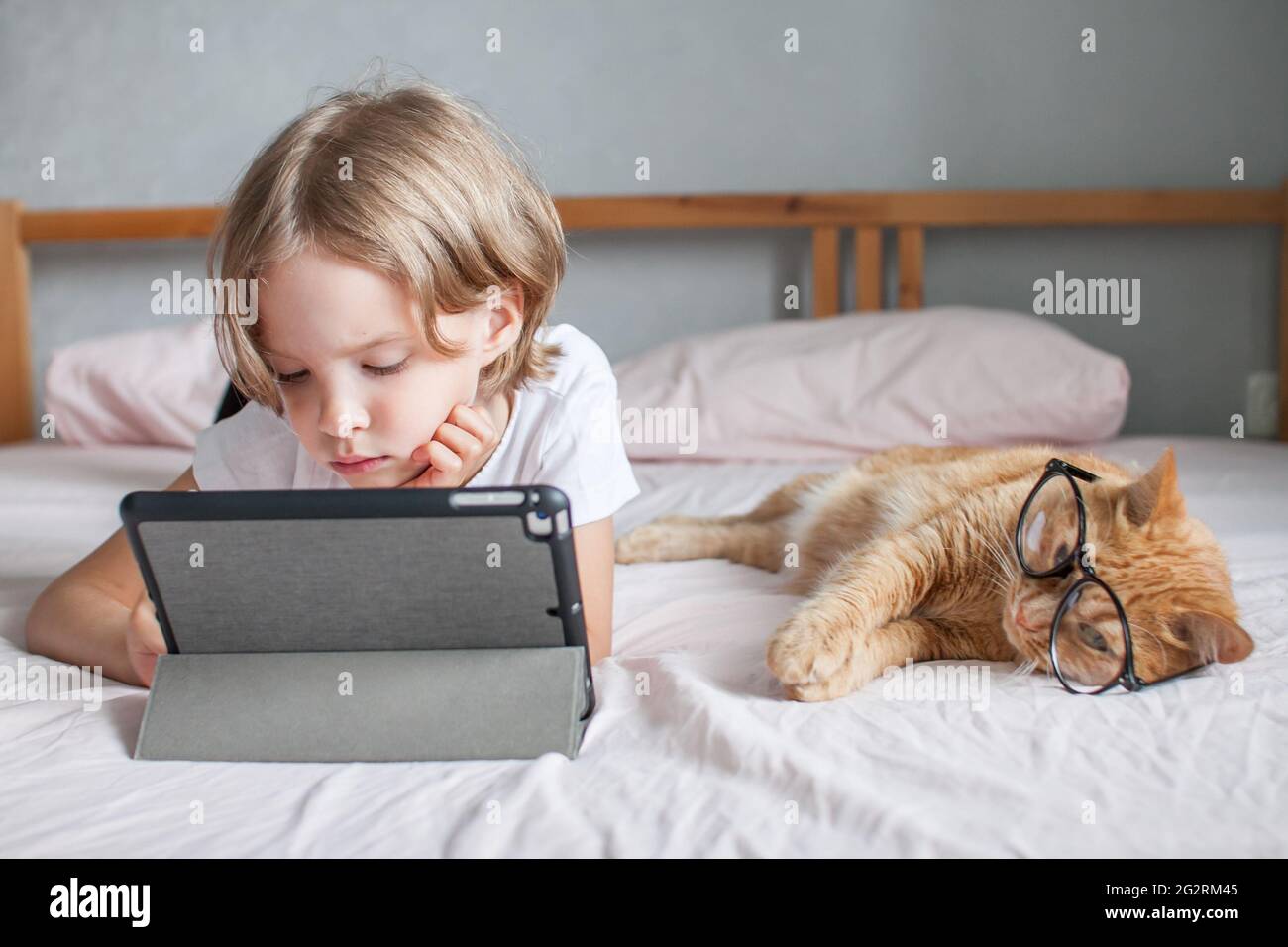 Une petite fille fait ses devoirs en ligne, à côté d'elle se trouve un gros chat de gingembre avec des verres. Communication avec des parents en ligne. Banque D'Images