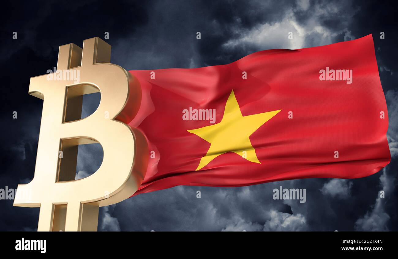 Crypto-monnaie en bitcoin d'or avec un drapeau du Vietnam. Rendu 3D Banque D'Images