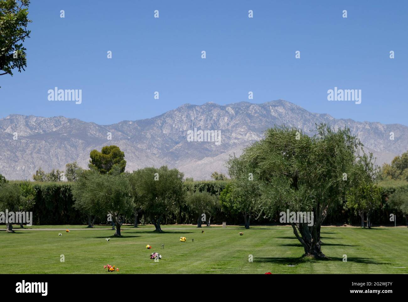 Cathedral City, Californie, Etats-Unis 10 juin 2021 UNE vue générale de l'atmosphère du Desert Memorial Park au 31-705 Da Vall Drive à Cathedral City, Californie, Etats-Unis. Photo par Barry King/Alay stock photo Banque D'Images