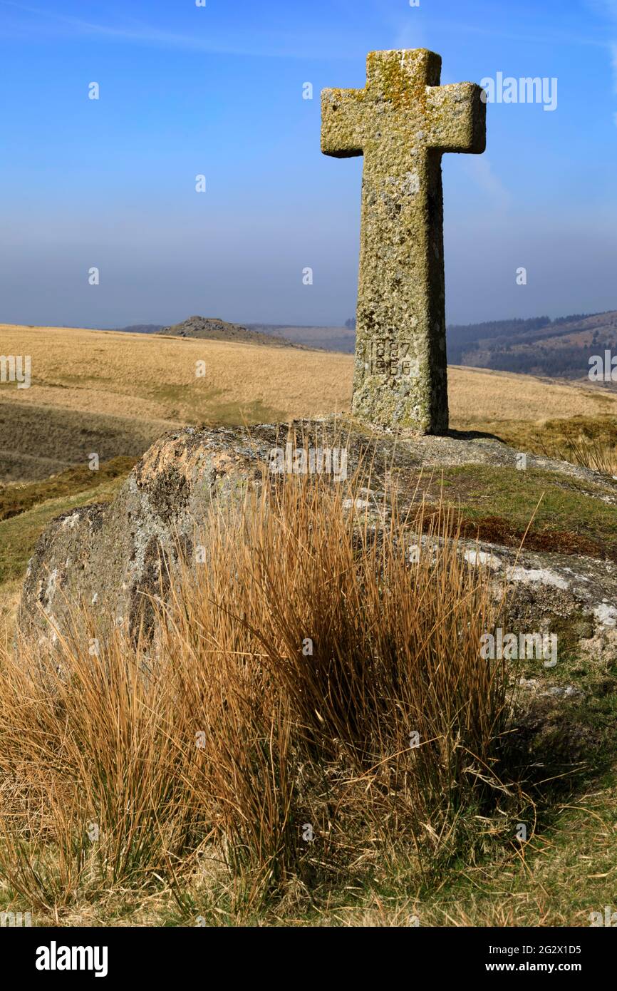 Près du Devonport Leat dans le parc national de Dartmoor. Banque D'Images