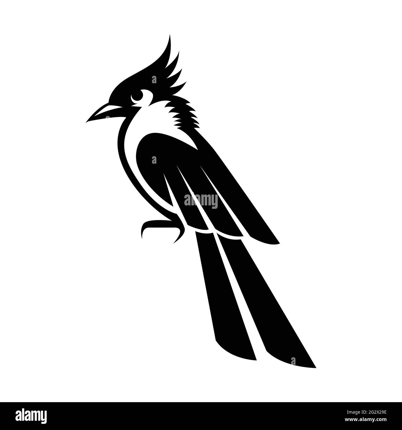 Illustration vectorielle noire sur fond blanc d'un petit oiseau magnifique Illustration de Vecteur