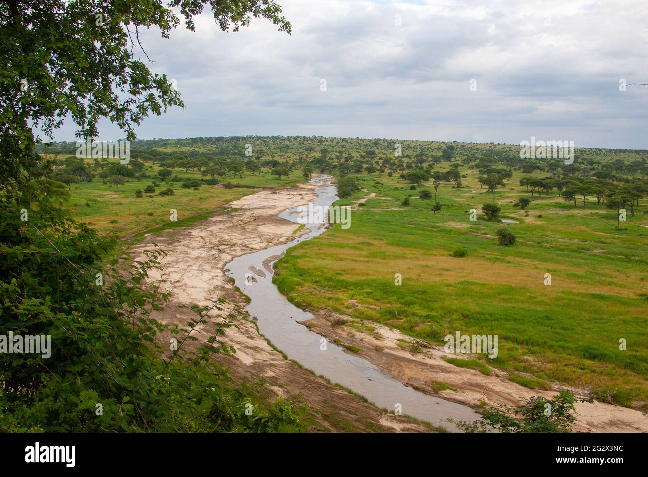 Le parc national de Tarangire est un parc national situé dans la région de Manyara en Tanzanie. Le nom du parc provient de la rivière Tarangire qui traverse le par Banque D'Images