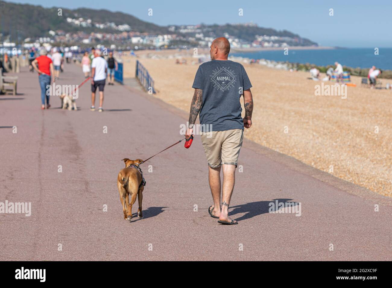 Randonneurs sur une promenade de bord de mer très animée par une chaude journée ensoleillée Banque D'Images