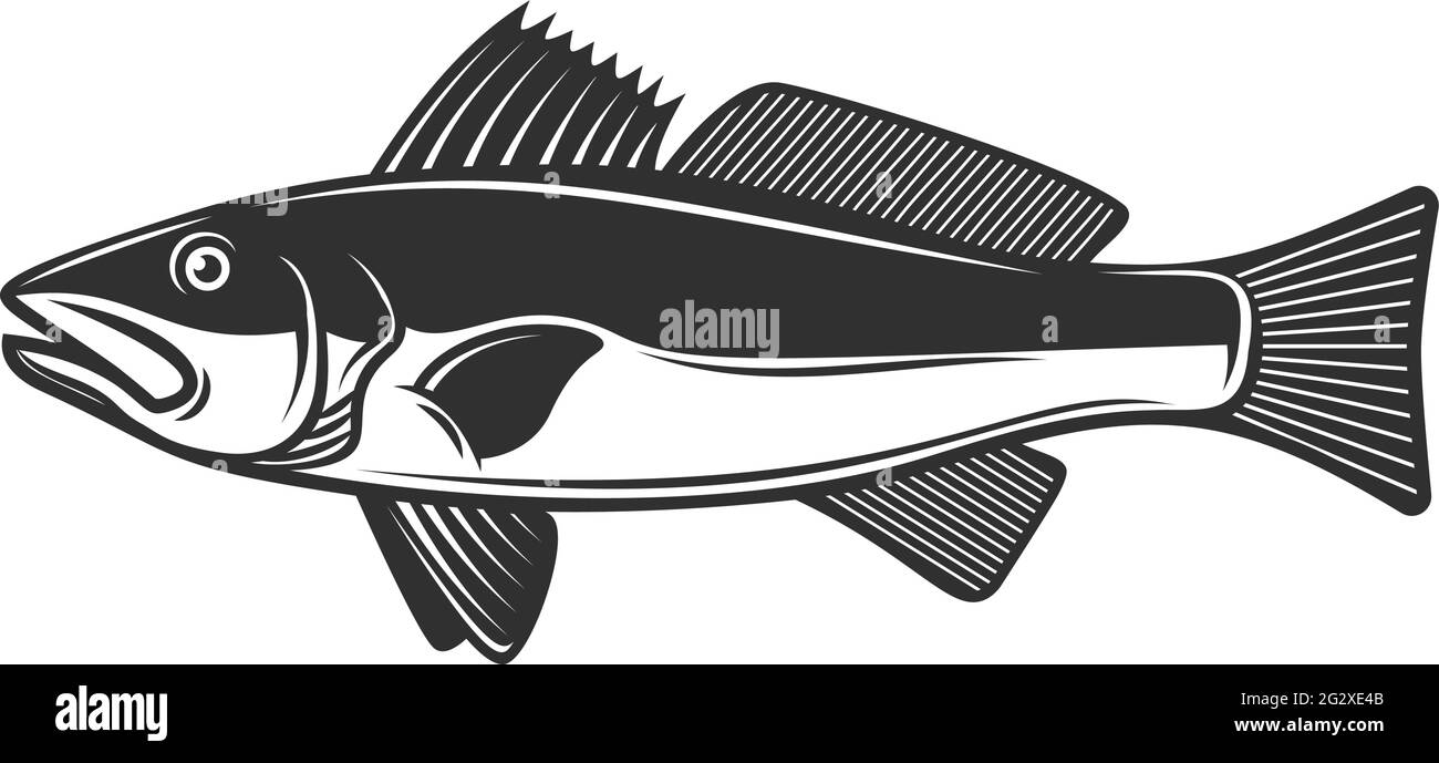 Illustration du poisson zander en noir et blanc. Élément de conception pour affiche, carte, bannière, panneau, logo. Illustration vectorielle Illustration de Vecteur