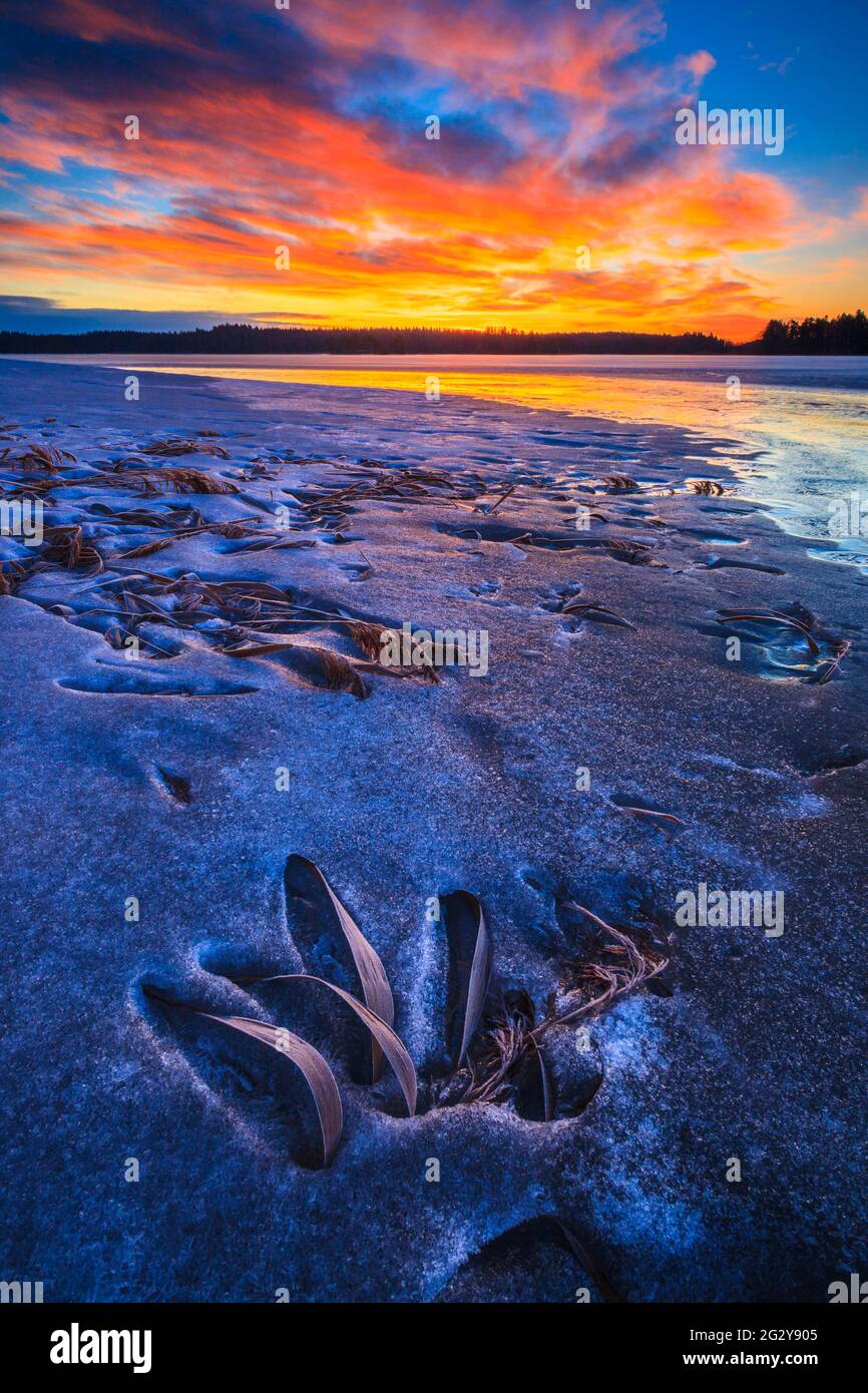 Formations de glace et ciel d'hiver coloré au lever du soleil dans le lac Vansjø à Østfold, Norvège, Scandinavie. Banque D'Images