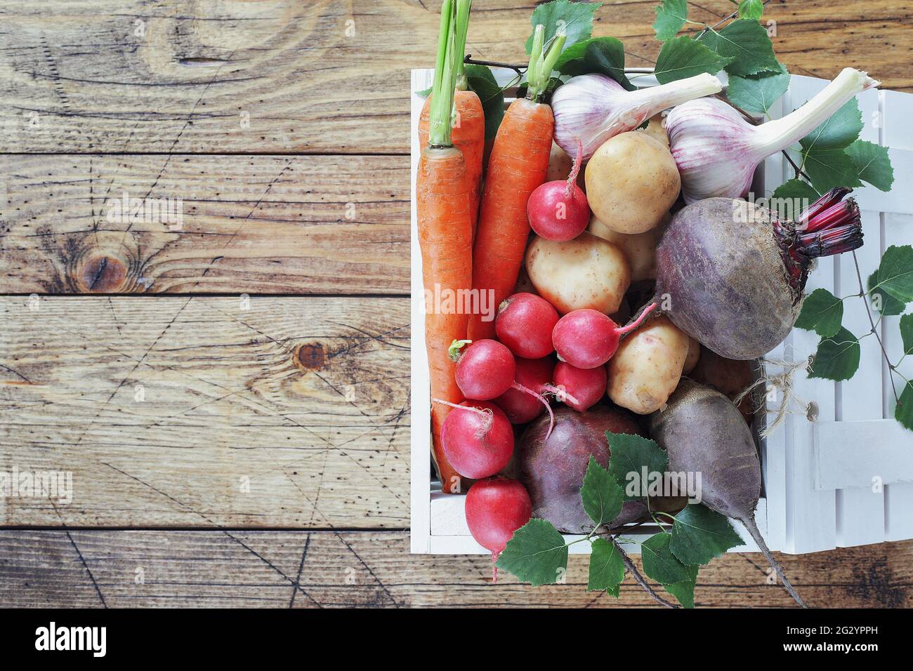 Boîte blanche en bois pleine de légumes frais biologiques de la ferme: Carottes, betteraves, radis et ail du marché local sur une table en bois avec espace copie Banque D'Images