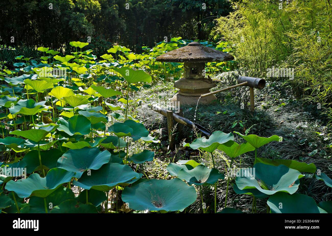 Lanterne en pierre sur jardin japonais, Rio de Janeiro, Brésil Banque D'Images