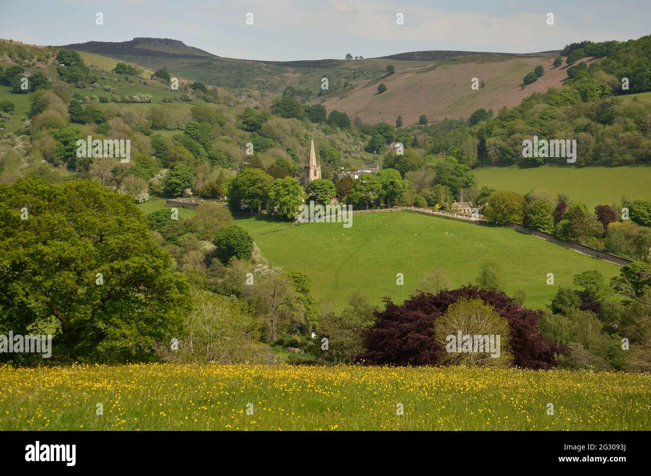 Une vue typique de Peakland anglais de la campagne près du village de Hathersage dans le Derbyshire, Angleterre. Le sommet en arrière-plan est Higger Tor. Banque D'Images