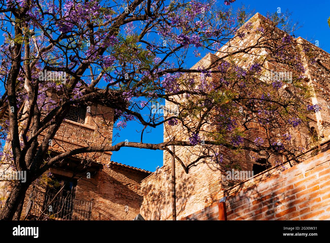 L'Alcazaba est une fortification palatiale à Málaga. Il a été construit par la dynastie Hammudide au début du XIe siècle. C'est l'alcazaba le mieux conservé Banque D'Images