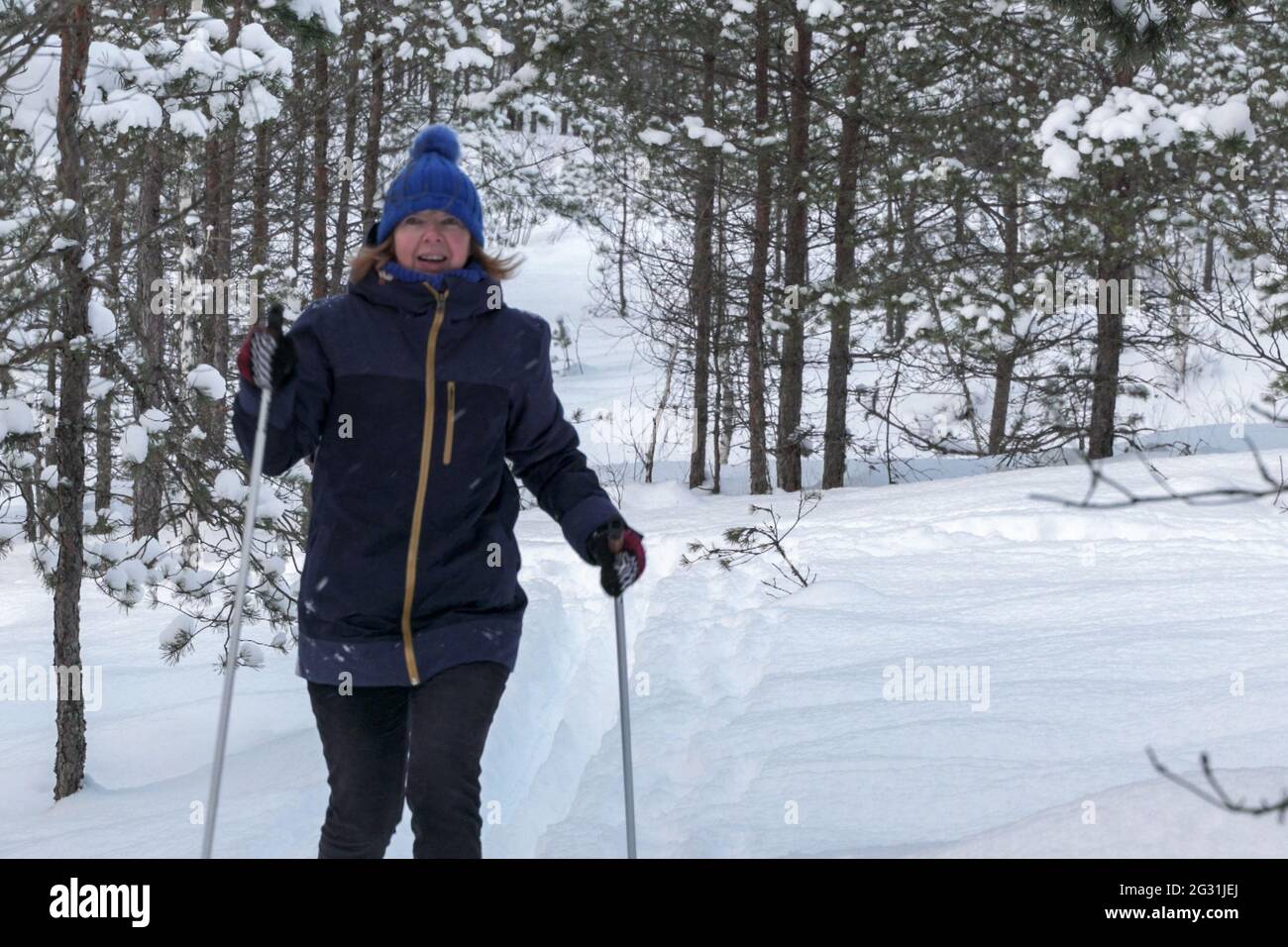 Je vous souhaite de faire du ski dans une forêt enneigée. Mode de vie actif des personnes âgées en hiver. Femme âgée ski de fond télémark dans la forêt enneigée. Lives actives Banque D'Images