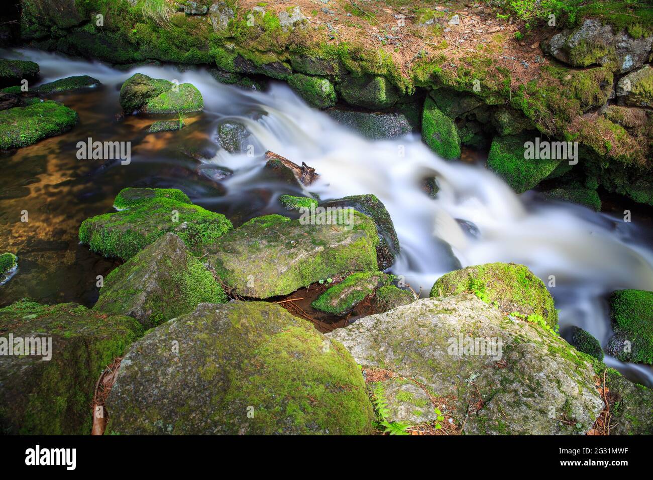 Belle cascade avec eau douce. Cette image présente un grain, un bruit et une netteté fluides. Banque D'Images