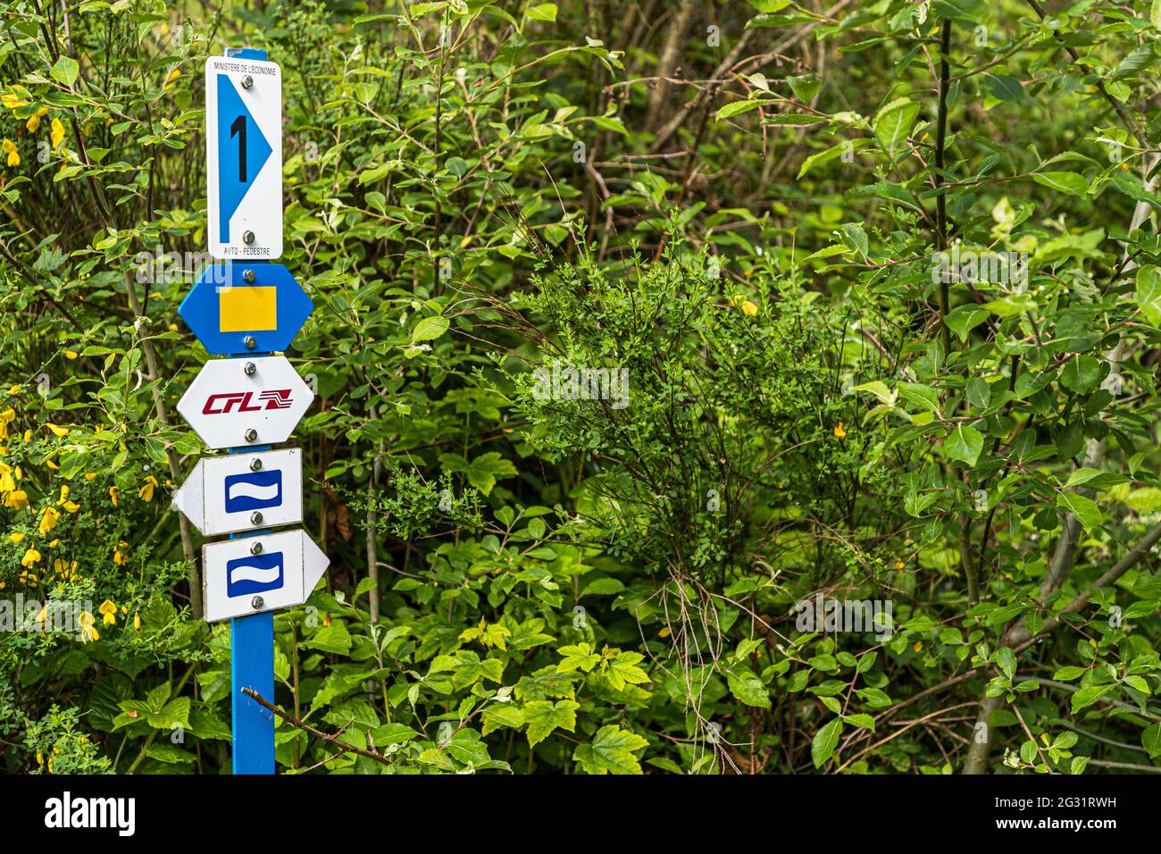 Panneaux sur le sentier de randonnée Escardienne LEE Trail près de Lipperscheid, Luxembourg Banque D'Images