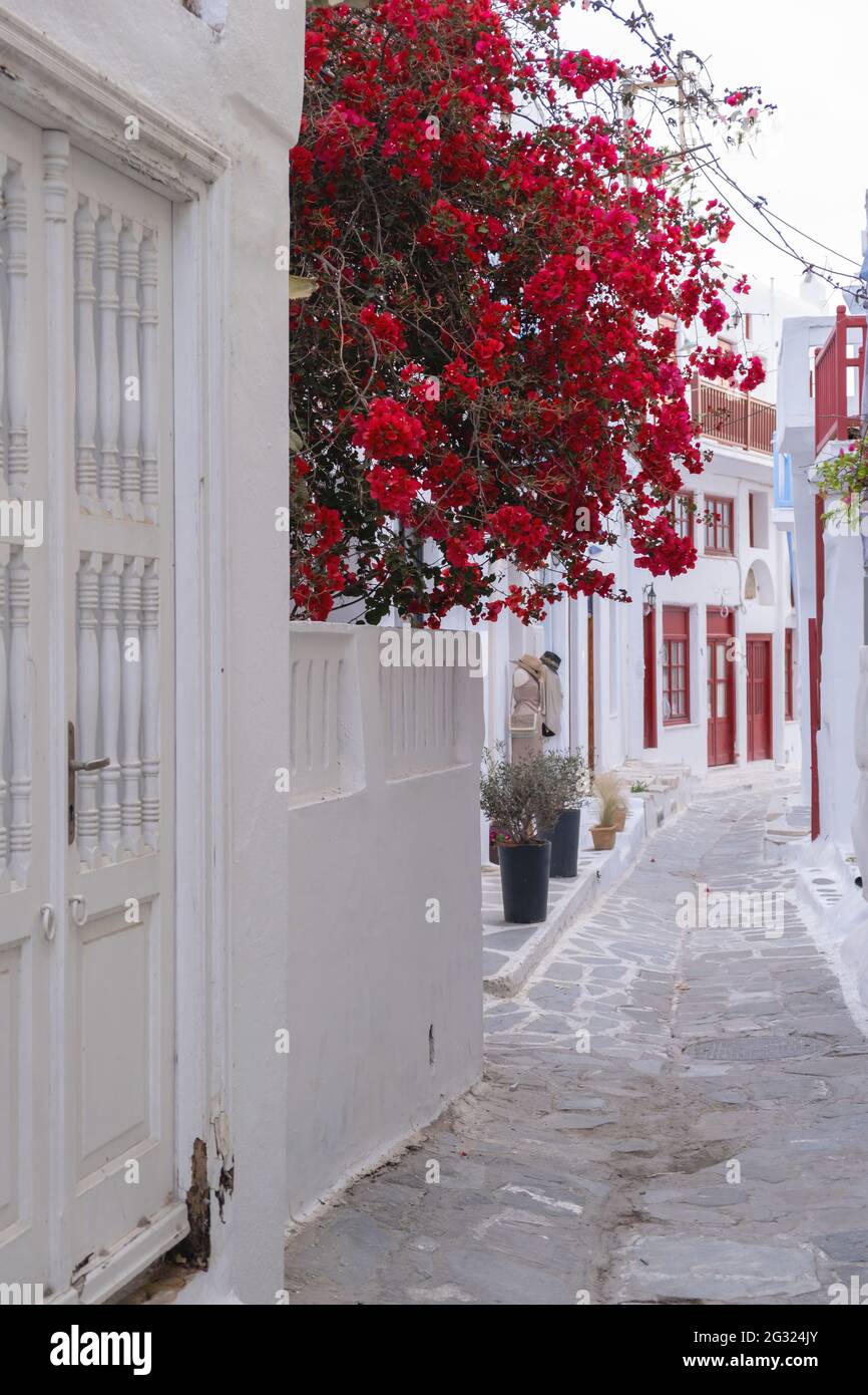 Île de Mykonos, Grèce. Bâtiments blanchis à la chaux, rue pavée étroite. Village de Chora, architecture traditionnelle aux couleurs blanche et bleue. vacances d'été Banque D'Images