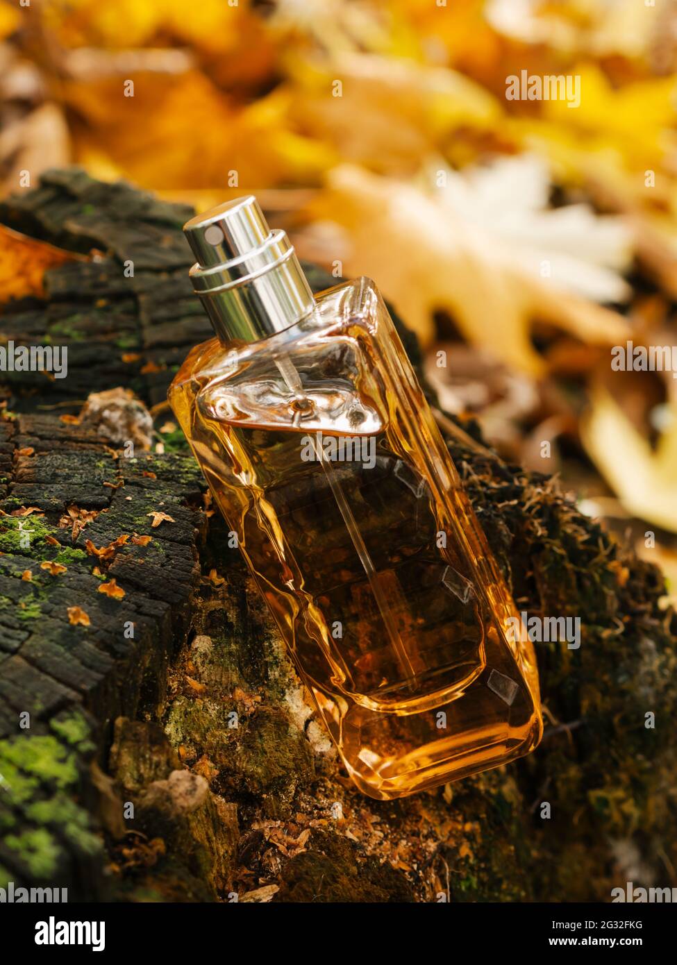 Bouteille en verre de parfum boisé aromatique de luxe sur fond d'automne.  Emballage minimaliste, marquage. Parfum boisé. Verre transparent Photo  Stock - Alamy