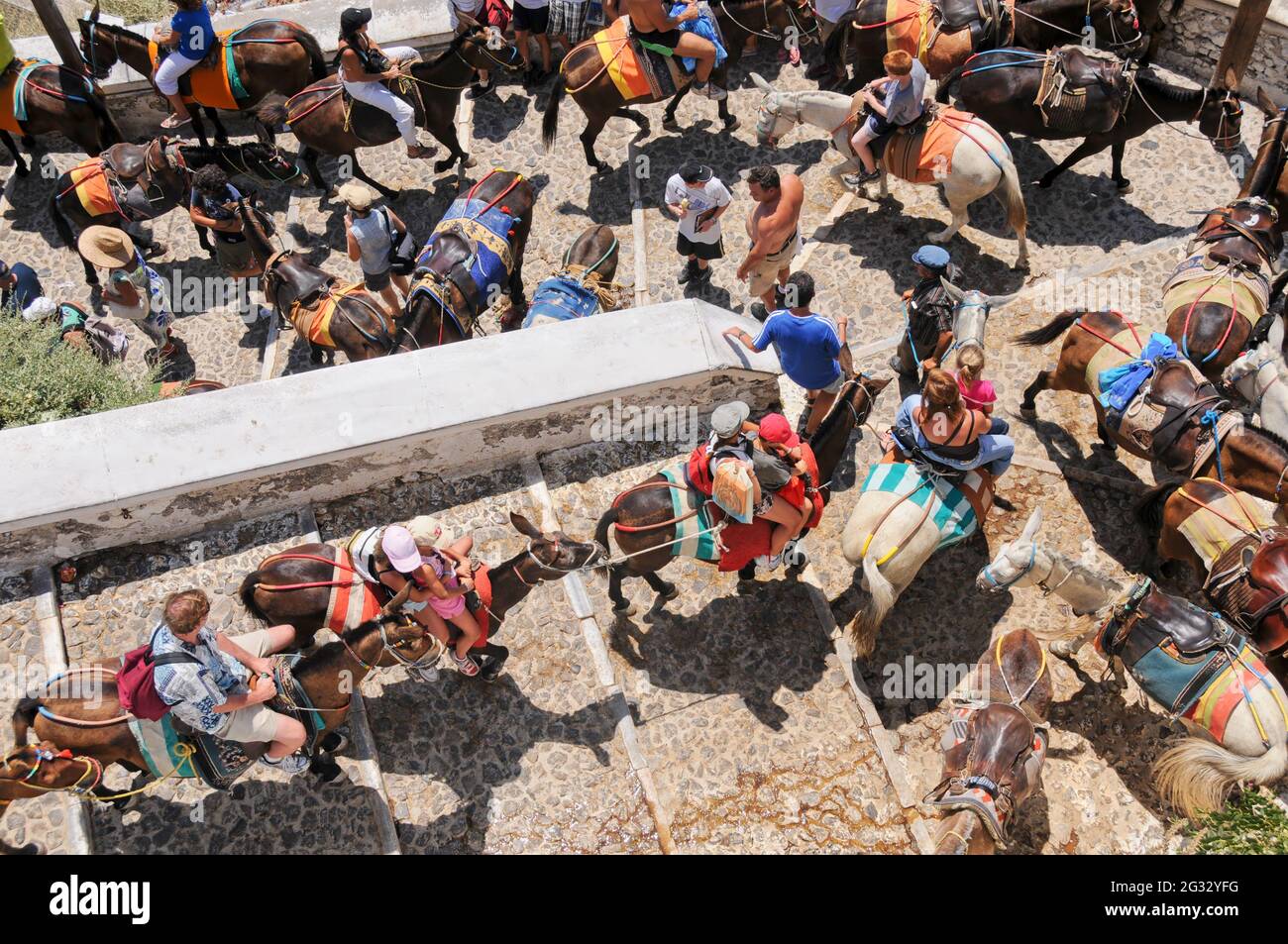 Une photo aérienne d'un groupe de touristes avec des moles-taxis à Santorini, Grèce. Les taxis ânes transportent les touristes Banque D'Images