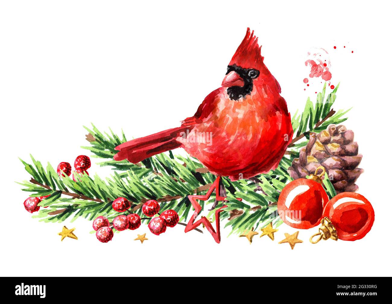 Arrière-plan de Noël et du nouvel an avec oiseau cardinal décoré de branches et d'ornements de sapin, symbole de Noël, Aquarelle dessinée à la main illustrateur Banque D'Images