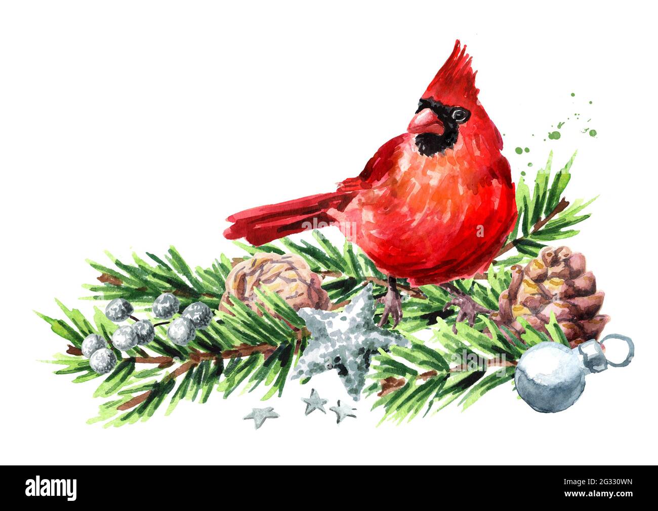 Arrière-plan de Noël et du nouvel an avec oiseau cardinal décoré de branches et d'ornements de sapin, symbole de Noël, Aquarelle dessinée à la main illustrateur Banque D'Images