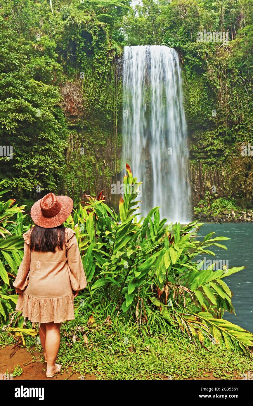 La chute d'eau et le trou de baignade des chutes Millaa Millaa Falls sont incontournables lors de toute excursion en voiture ou en groupe dans les plateaux au départ de Cairns Banque D'Images