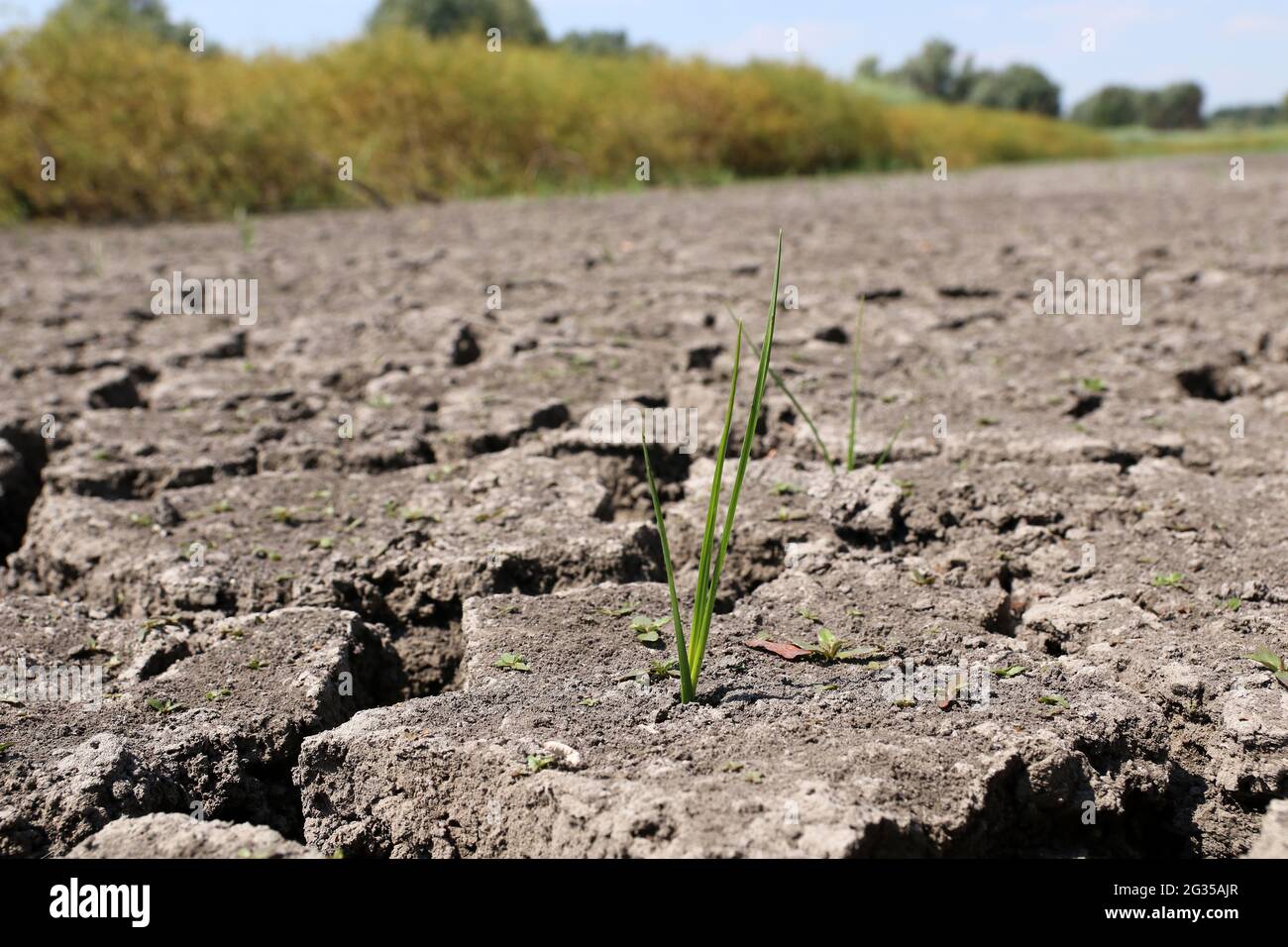 Fond fissuré d'une rivière sèche. Concept de réchauffement climatique. Banque D'Images