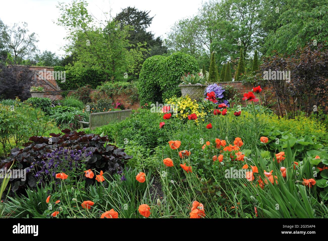 WOLLERTON, SHROPSHIRE / ROYAUME-UNI - 22 MAI 2014 : le jardin du Wollerton Old Hall Banque D'Images