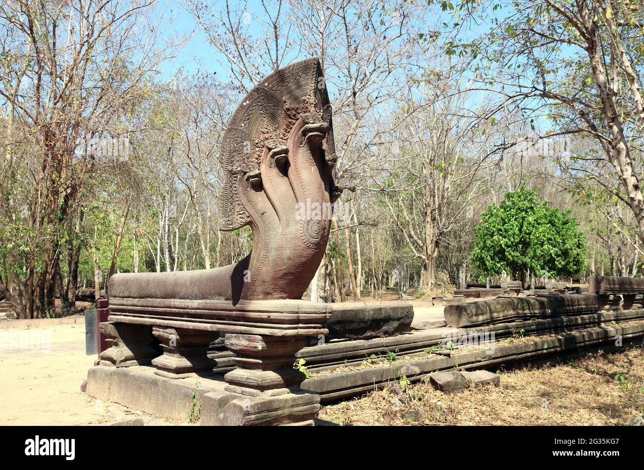 Statues de serpents à têtes multiples ou nagas dans le complexe de Koh