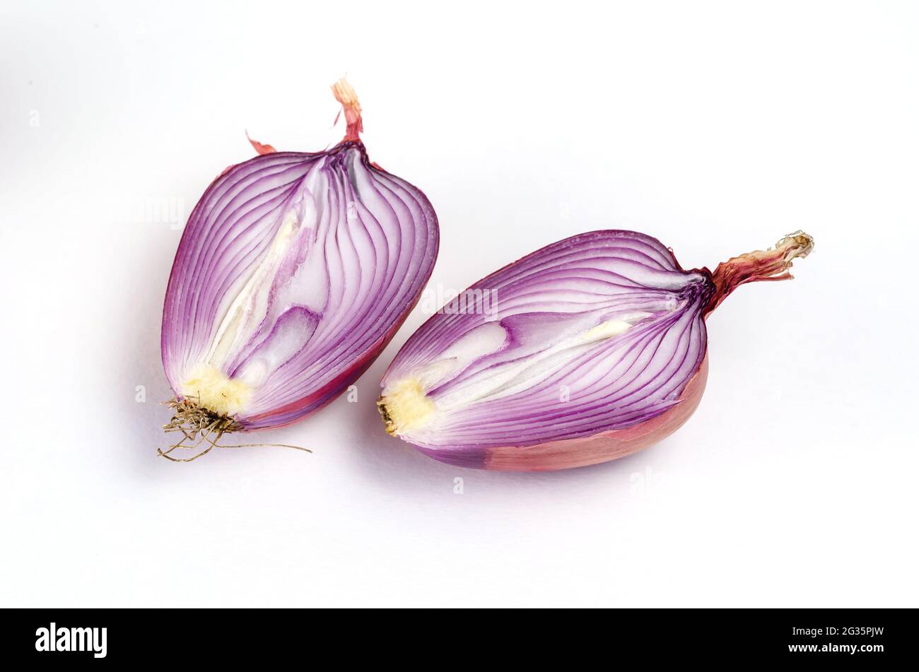 Deux moitiés d'un oignon non pelé mûr brut sur fond blanc. Oignon italien Ramata di Milano. Section transversale légumes racines dans la peau. Nourriture, ingredi Banque D'Images