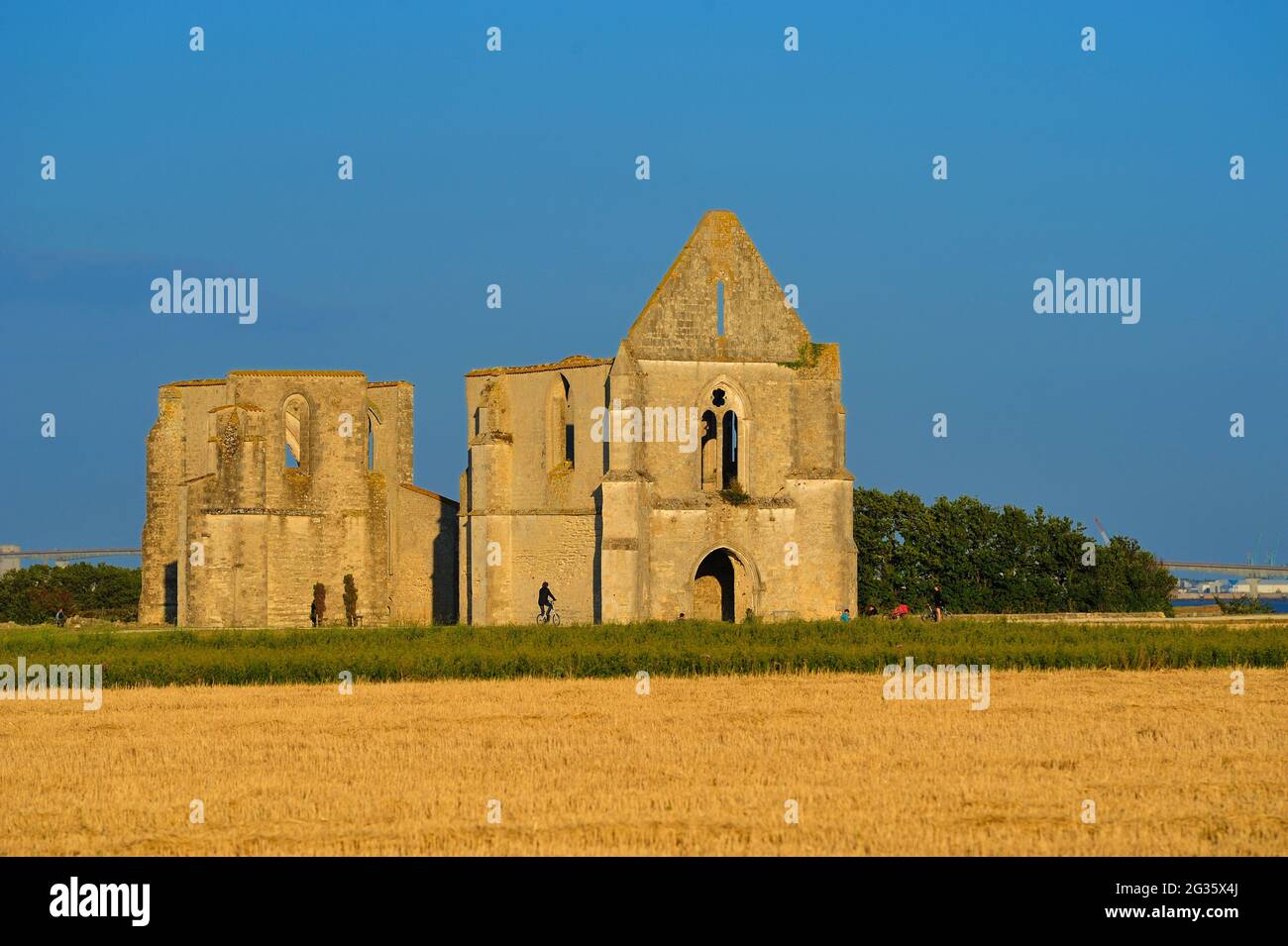 FRANCE, CHARENTE-MARITIME (17) L'ÎLE DE RE, ABBAYE DE NOTRE-DAME-DE-RE, APPELÉE ABBAYE DE CHATELIERS, EST AUJOURD'HUI UNE ABBAYE CISTERCIENNE EN RUINES Banque D'Images