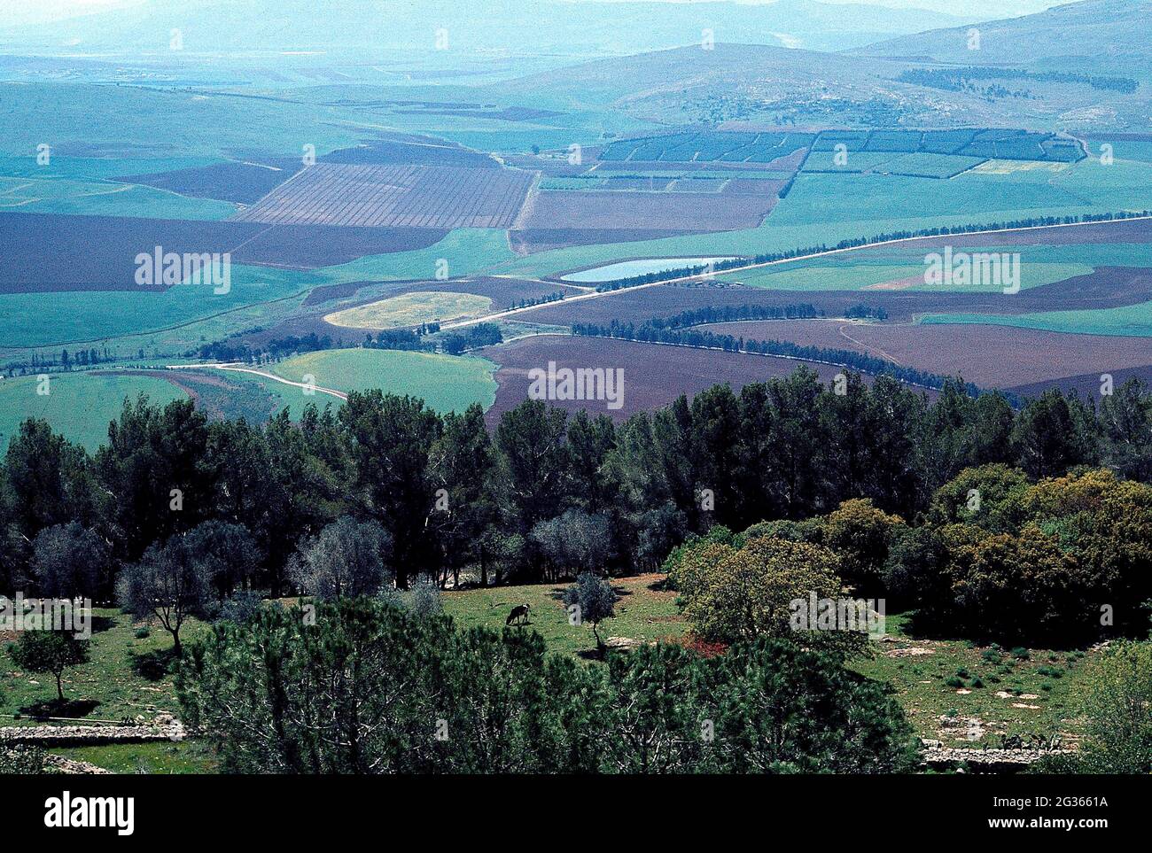 PANORAMICA DESDE EL MONTE TABOR - FOTO AÑOS 60. Emplacement : EXTÉRIEUR. GALILÉE. ISRAËL. Banque D'Images