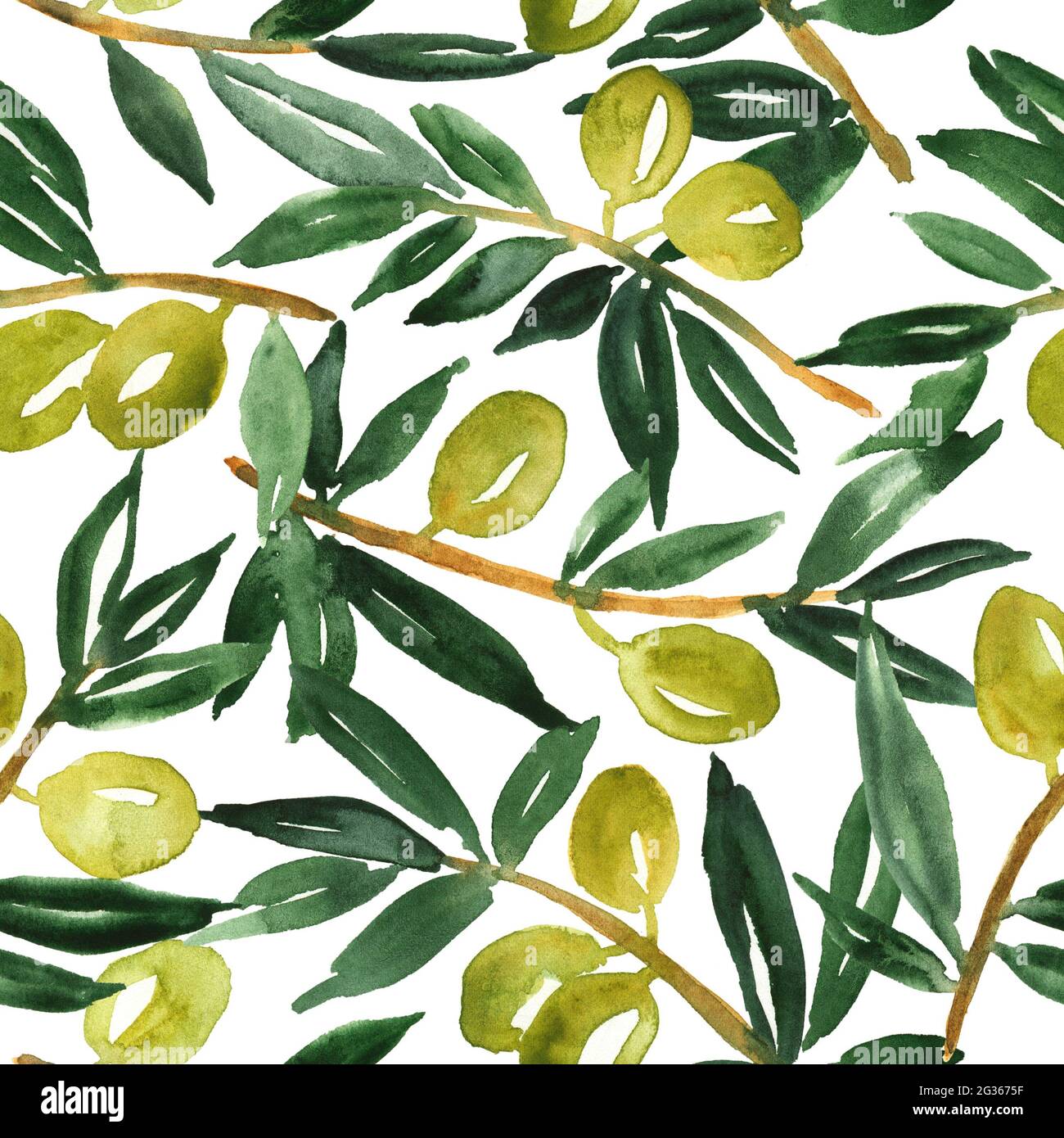 Branches d'olive. Motif aquarelle sans couture Banque D'Images