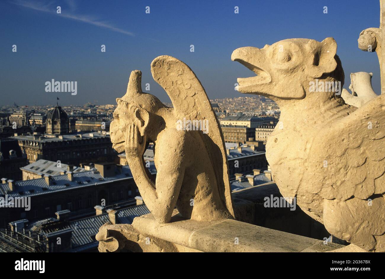 FRANCE PARIS (75) 4ÈME ARRONDISSEMENT, LES GARGOUILLES DE NOTRE-DAME Banque D'Images