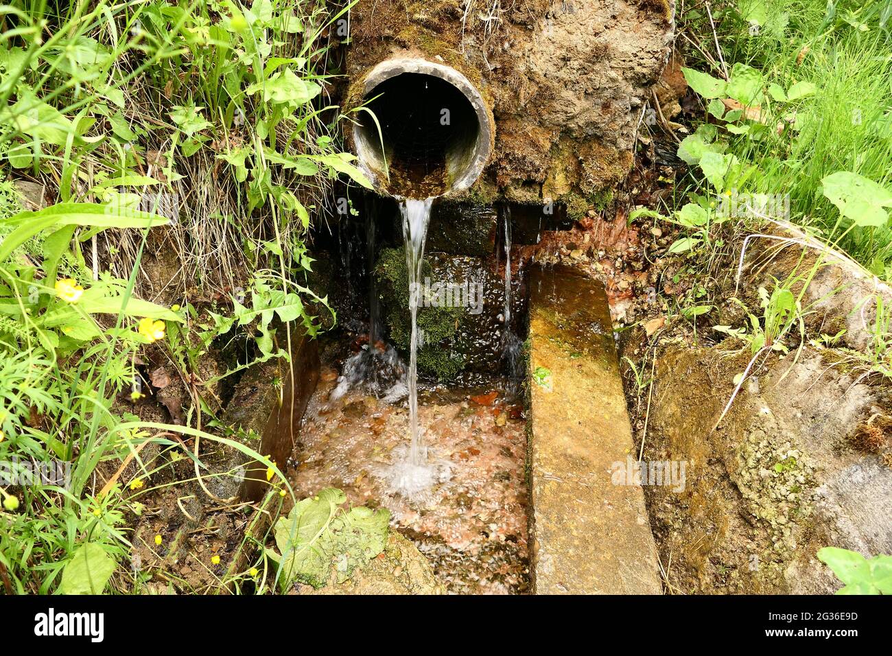Source naturelle. L'eau de source pure coule d'un tuyau dans un mur de pierre dans la nature. Banque D'Images