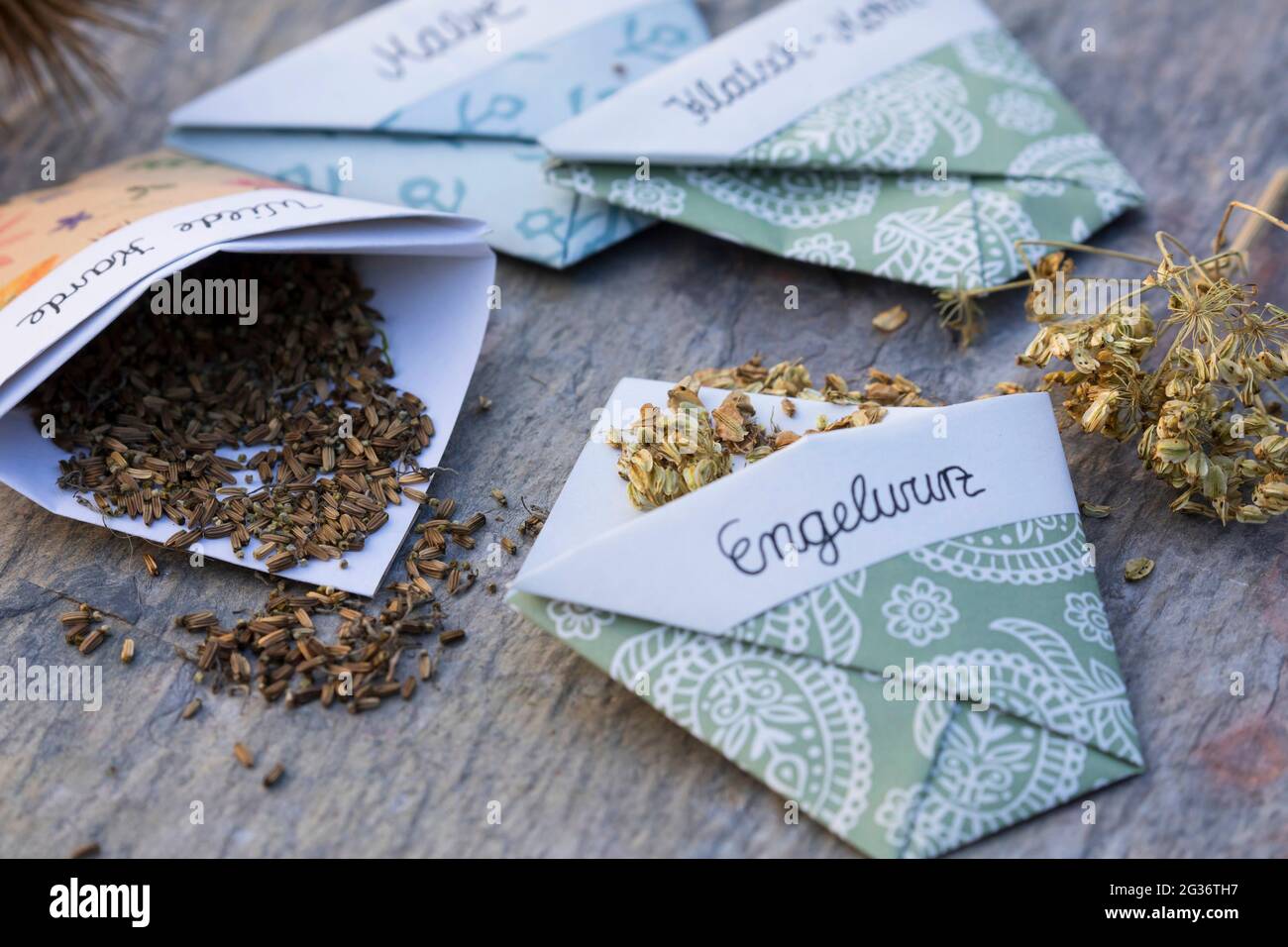 Garden angelica (Angelica archangelica), étiquetez vous-même les sachets de graines fabriqués à la main Banque D'Images