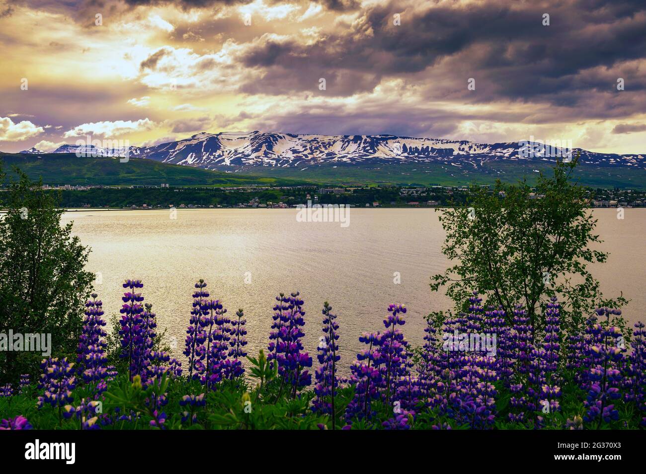 Ville d'Akureyri avec des montagnes enneigées et le fjord Eyjafjordur dans le nord de l'Islande Banque D'Images