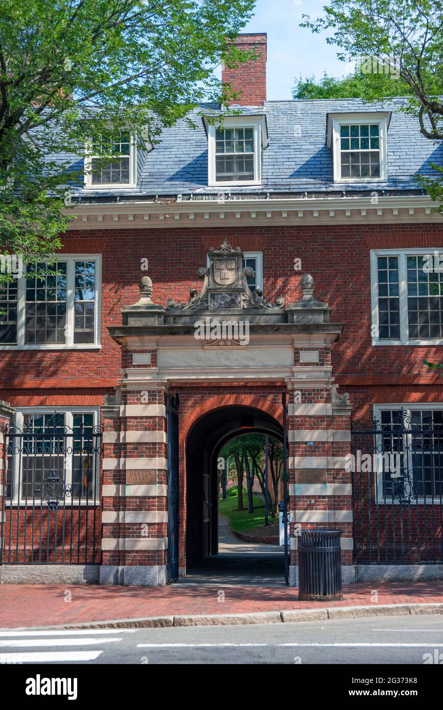 Porte d'entrée et façade sud de la bibliothèque Wigglesworth Hall Widener à Harvard Yard à l'université de Harvard à Cambridge, Massachusetts, États-Unis Banque D'Images