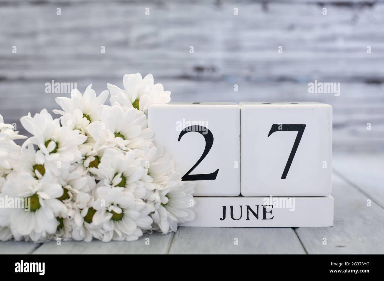 Blocs de calendrier en bois blanc avec la date du 27 juin et des pâquerettes blanches. Mise au point sélective avec arrière-plan flou. Banque D'Images