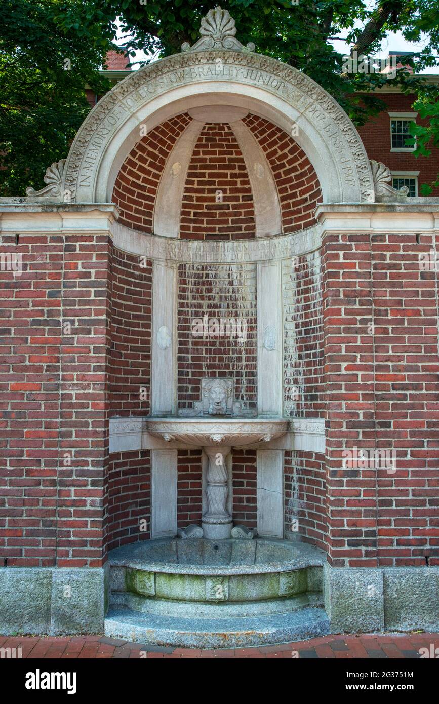 Funtain à l'université de Harvard. À la mémoire de Robert Stow Bradley Junior AB 1907 b. 1883 d. 1907 UN jeune homme gagnant camarade utile et fils dévoué. Banque D'Images